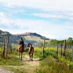 Turismo e cavalli: opportunità di sviluppo economico da non perdere