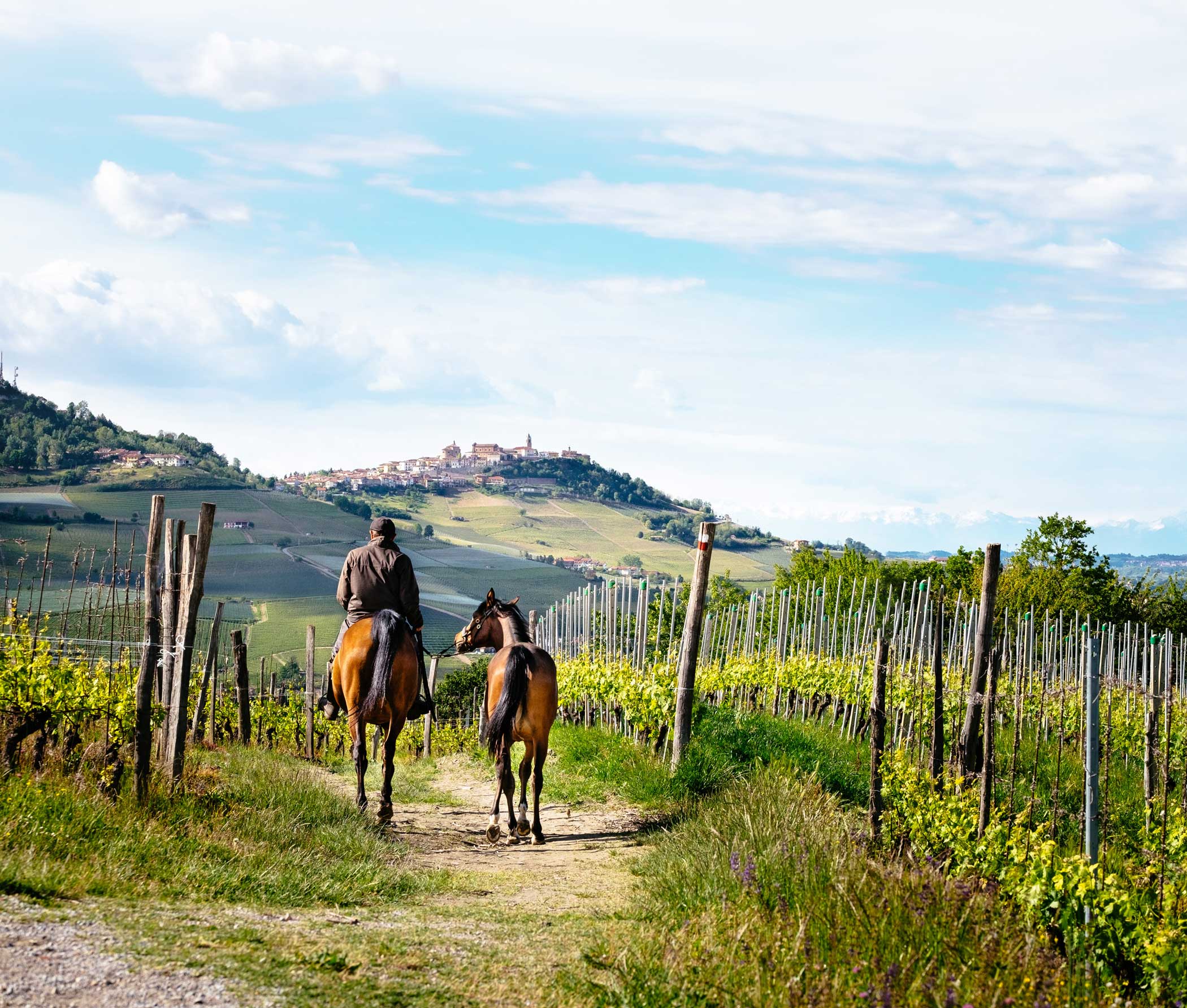 Turismo e cavalli: opportunità di sviluppo economico da non perdere