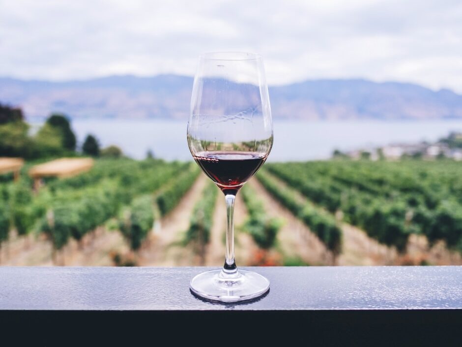 Corso gratuito IFTS Excellentia Chianti Classico